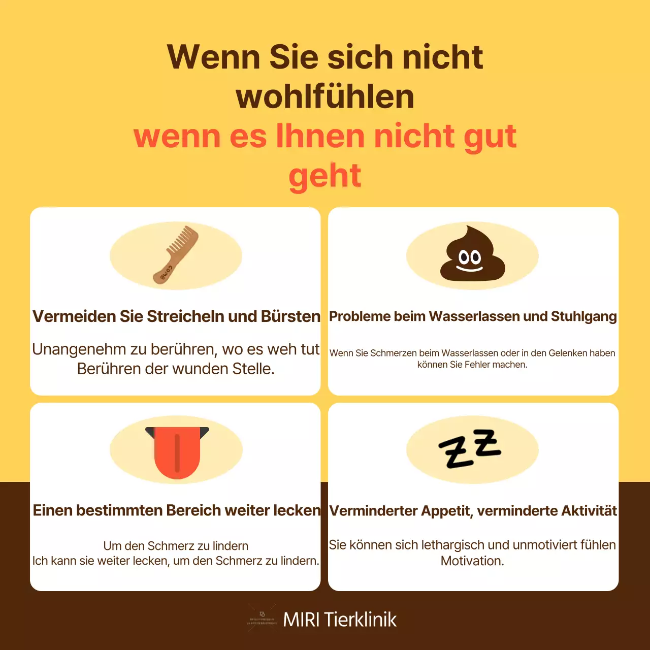 Der gelbe und orangefarbene Leitfaden für die Gesundheitspflege von Haustieren