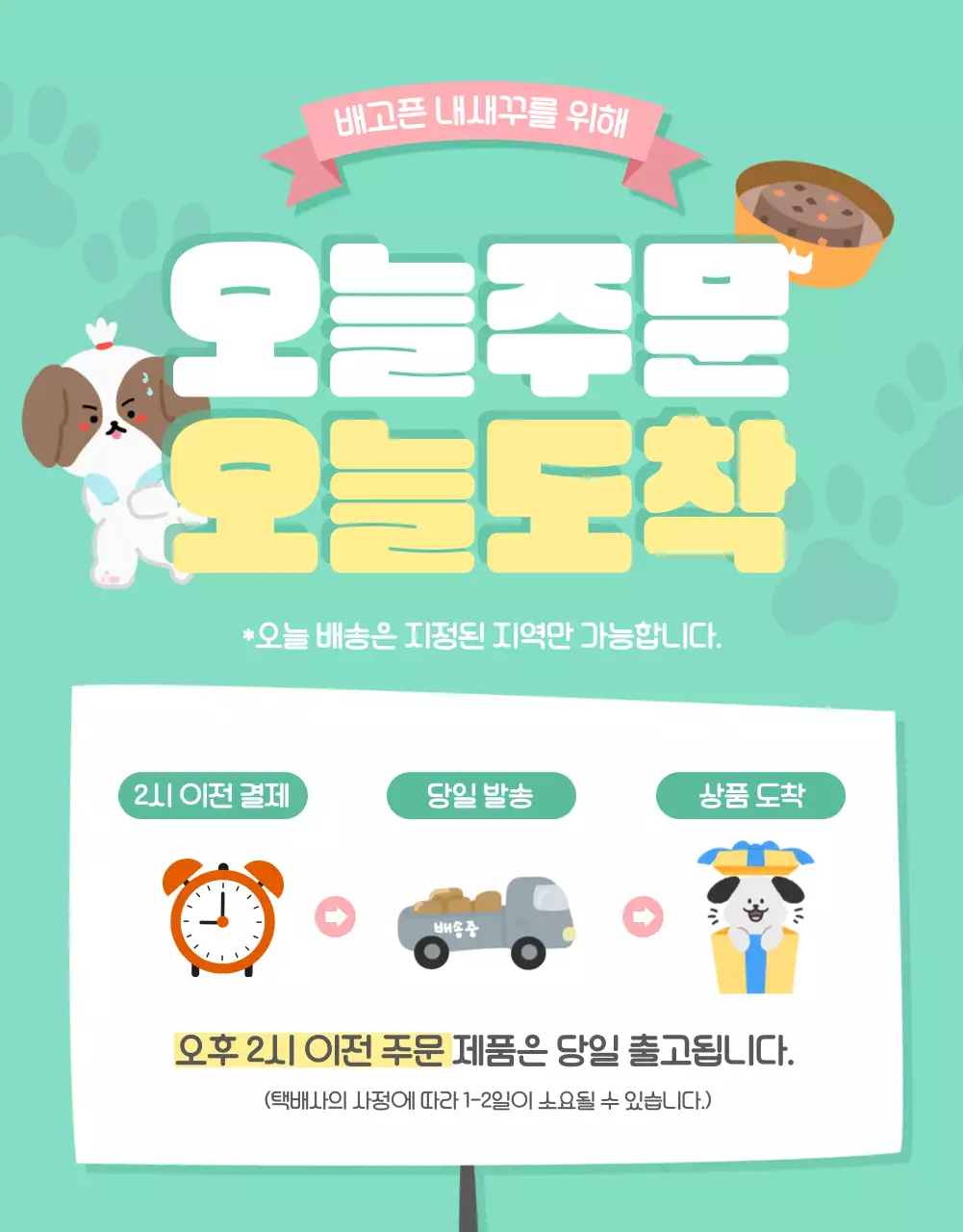 핑크의 아기자기한 반려동물 용품 모음