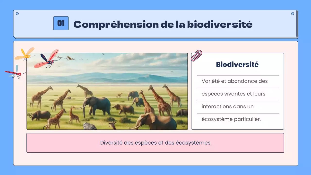 La biodiversité tropicale en bleu et rose Ressources pédagogiques