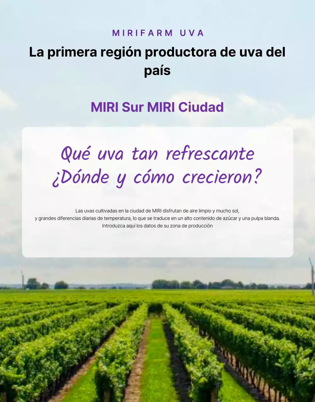 Promueva las uvas de fruta de temporada sencillas en morado y malva