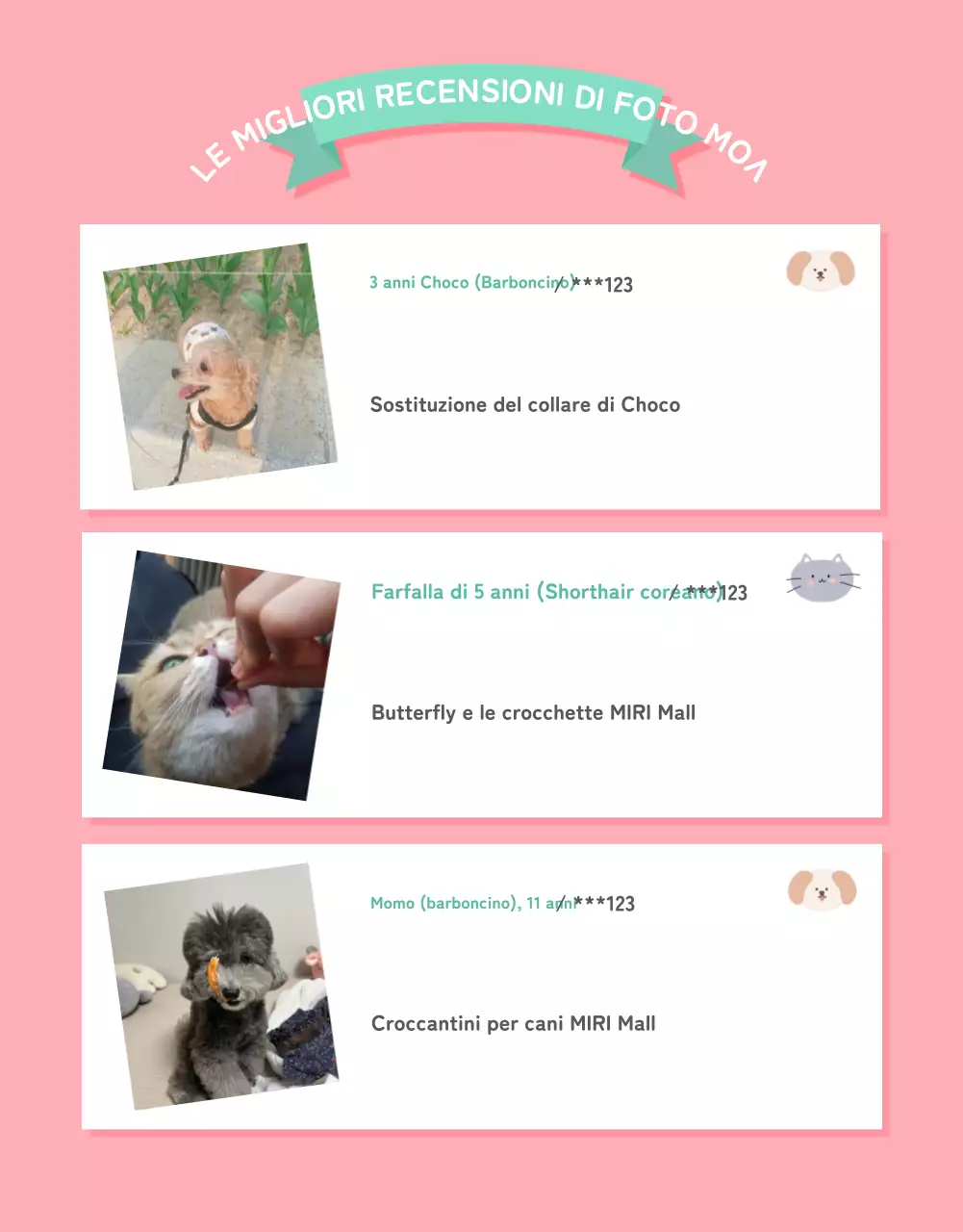 Una collezione di simpatici articoli per animali domestici in rosa