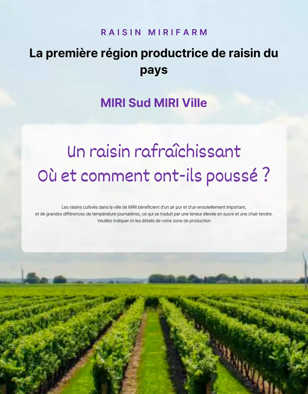 Promouvoir des raisins simples et de saison en violet et mauve