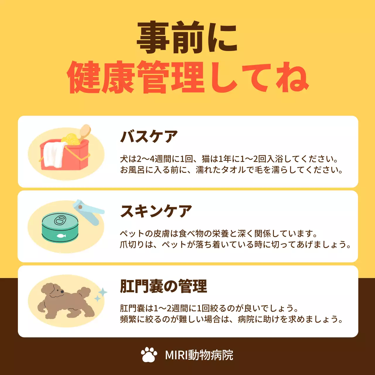 黄色 かわいい ペット ポスター Instagram カルーセル