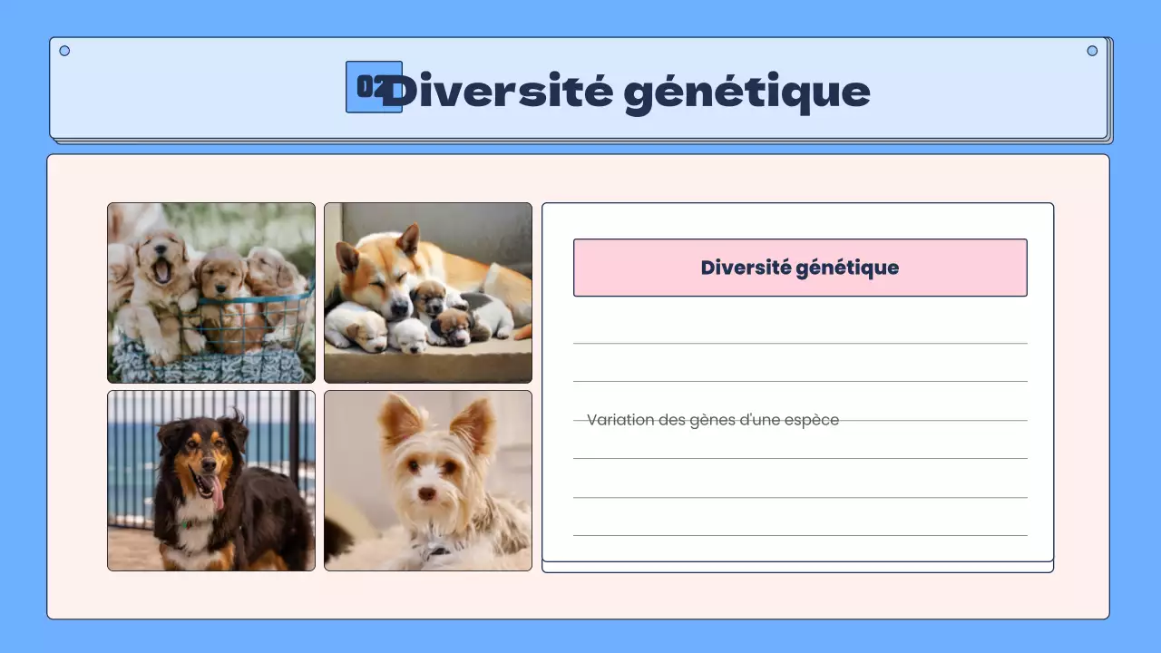 La biodiversité tropicale en bleu et rose Ressources pédagogiques