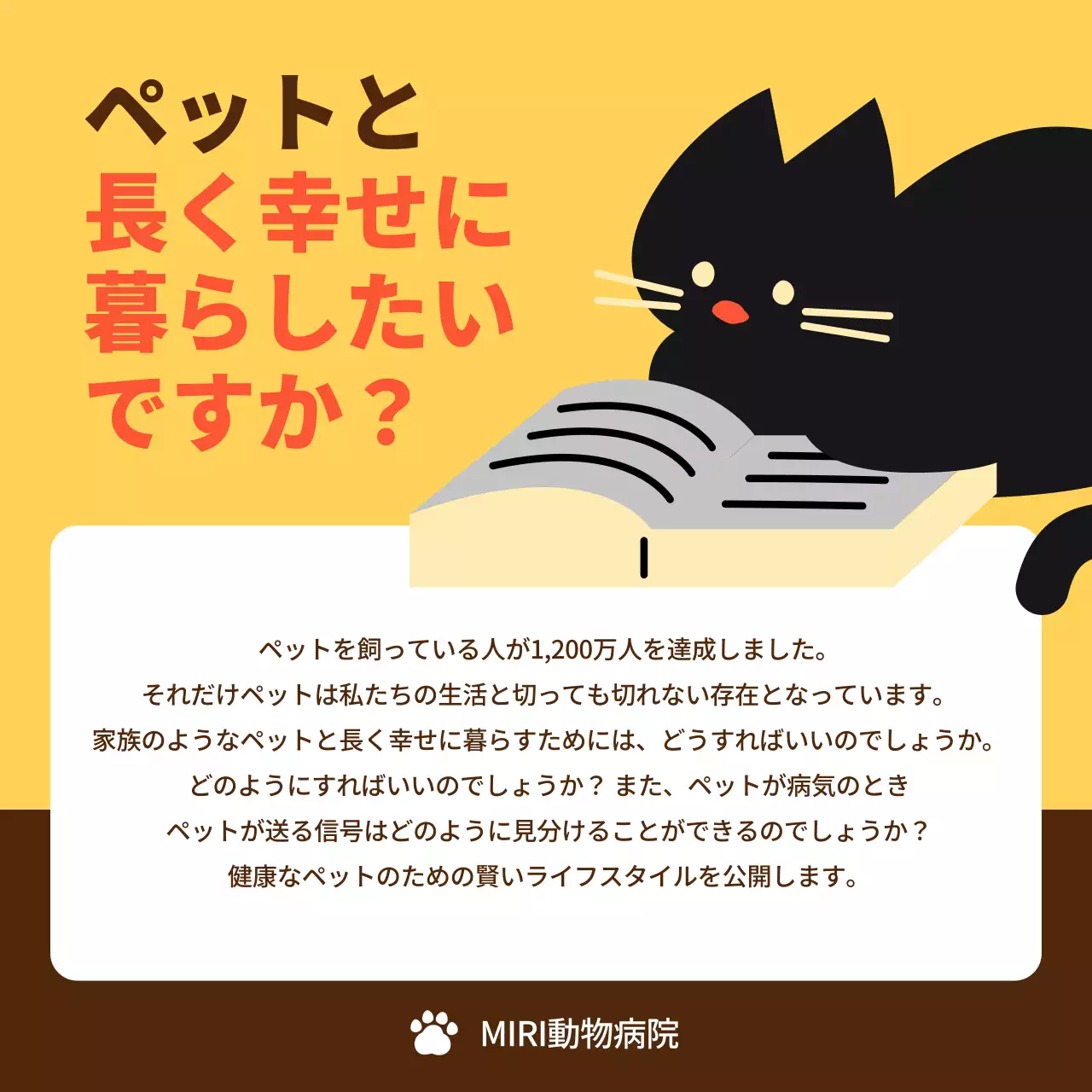 黄色 かわいい ペット ポスター Instagram カルーセル