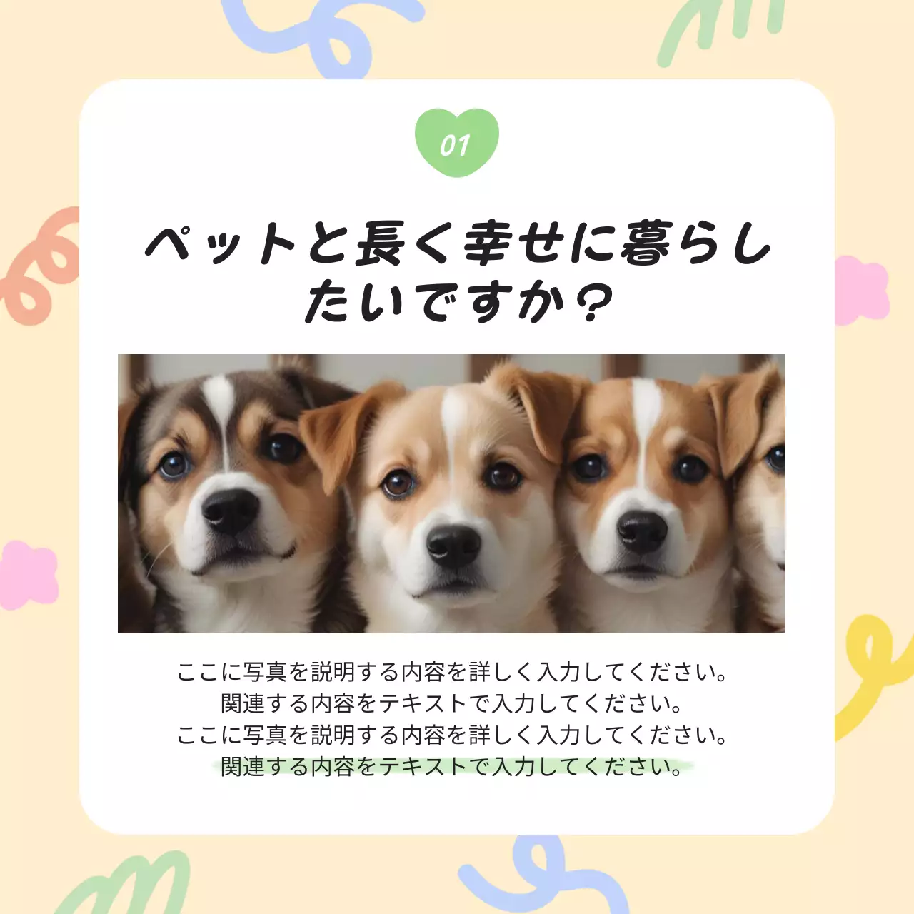 カラフル かわいい ペット パンフレット Instagram カルーセル