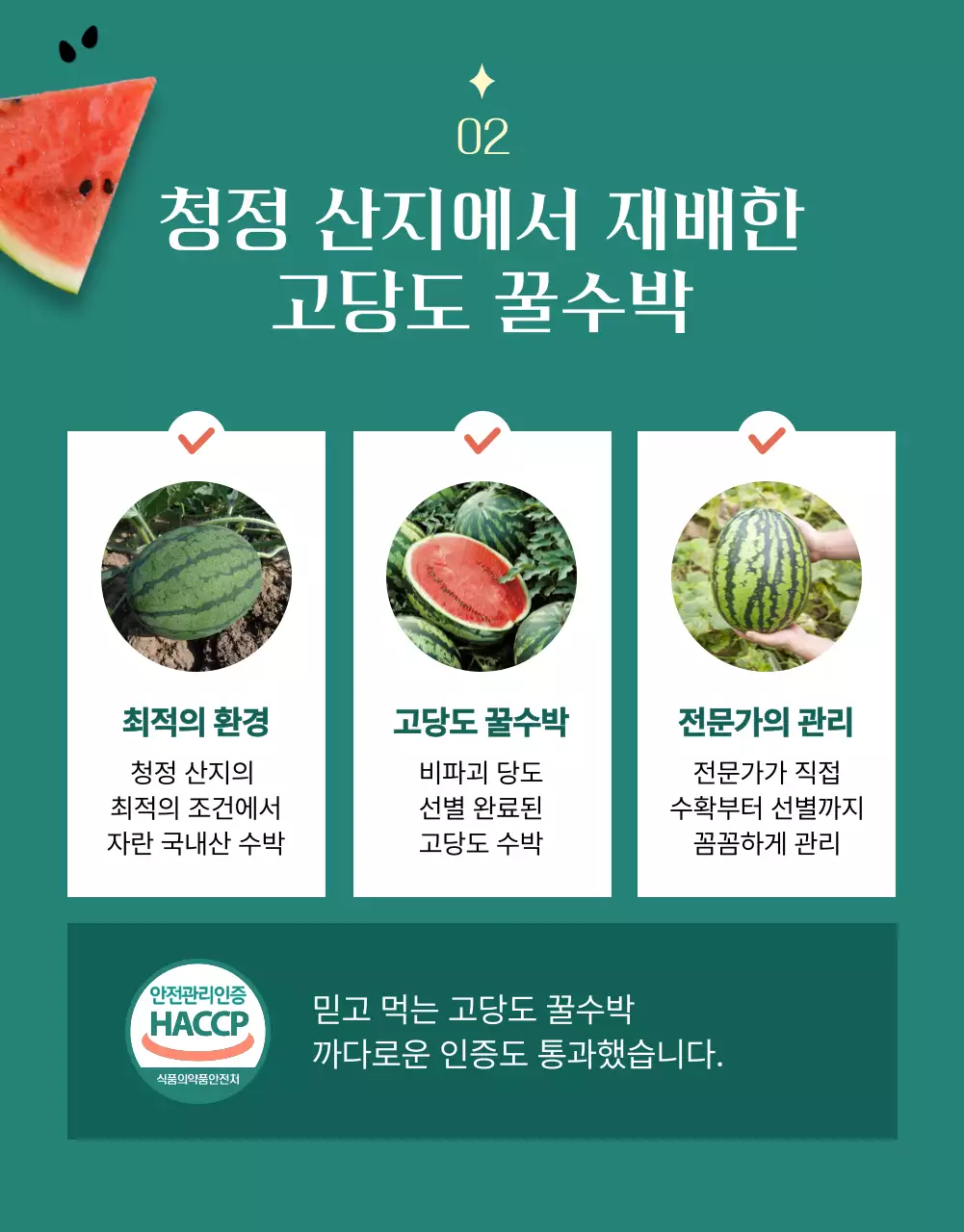 핑크색과 초록색의 심플한 제철과일 홍보
