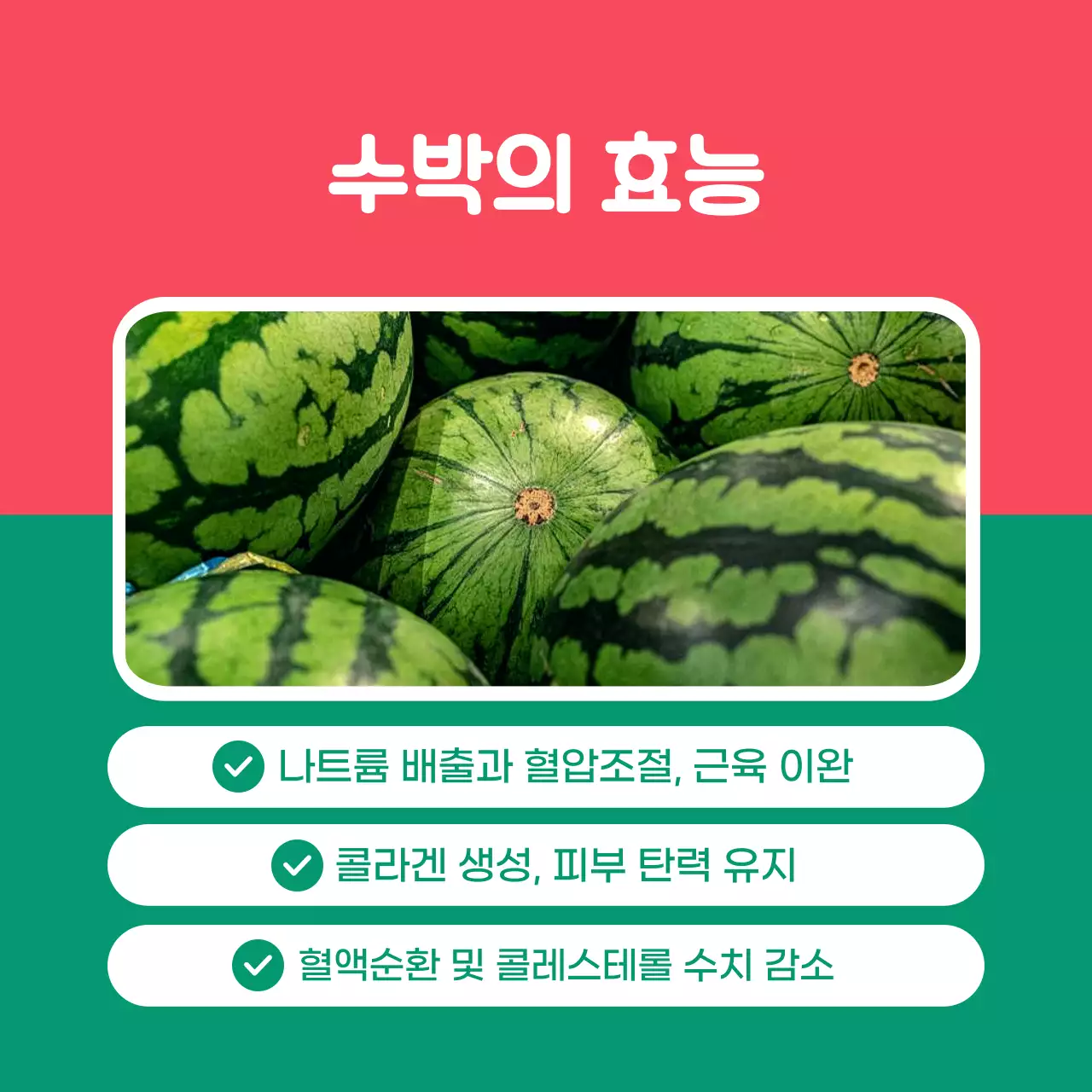 빨강과 초록의 단순한 수박 판매 홍보