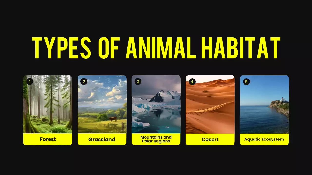 Yellow Modern Animal Lecture Presentation