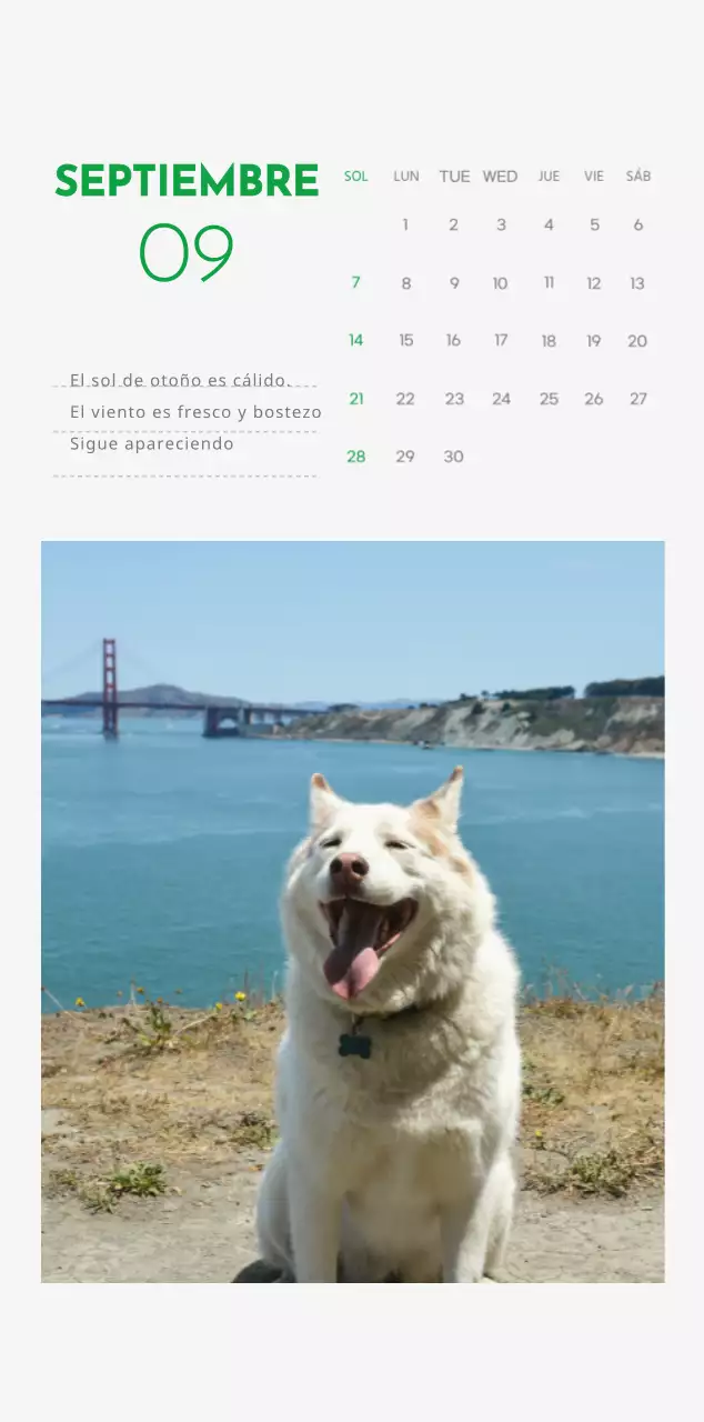 Un calendario con una foto de un cachorro y un bonito mensaje en color verde