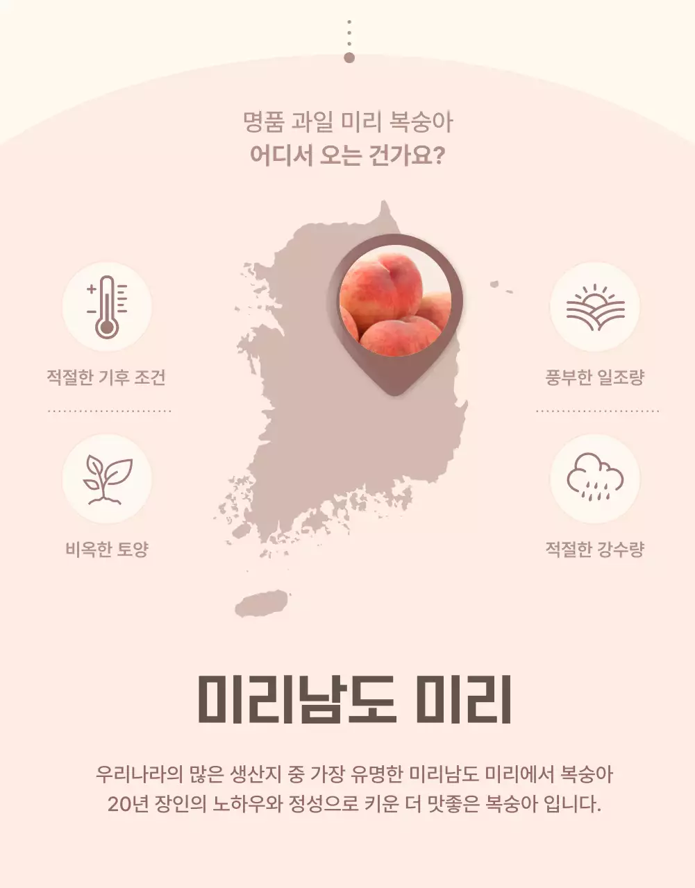 노랑과 핑크색의 깔끔한 상큼한 복숭아 인트로 판매 홍보