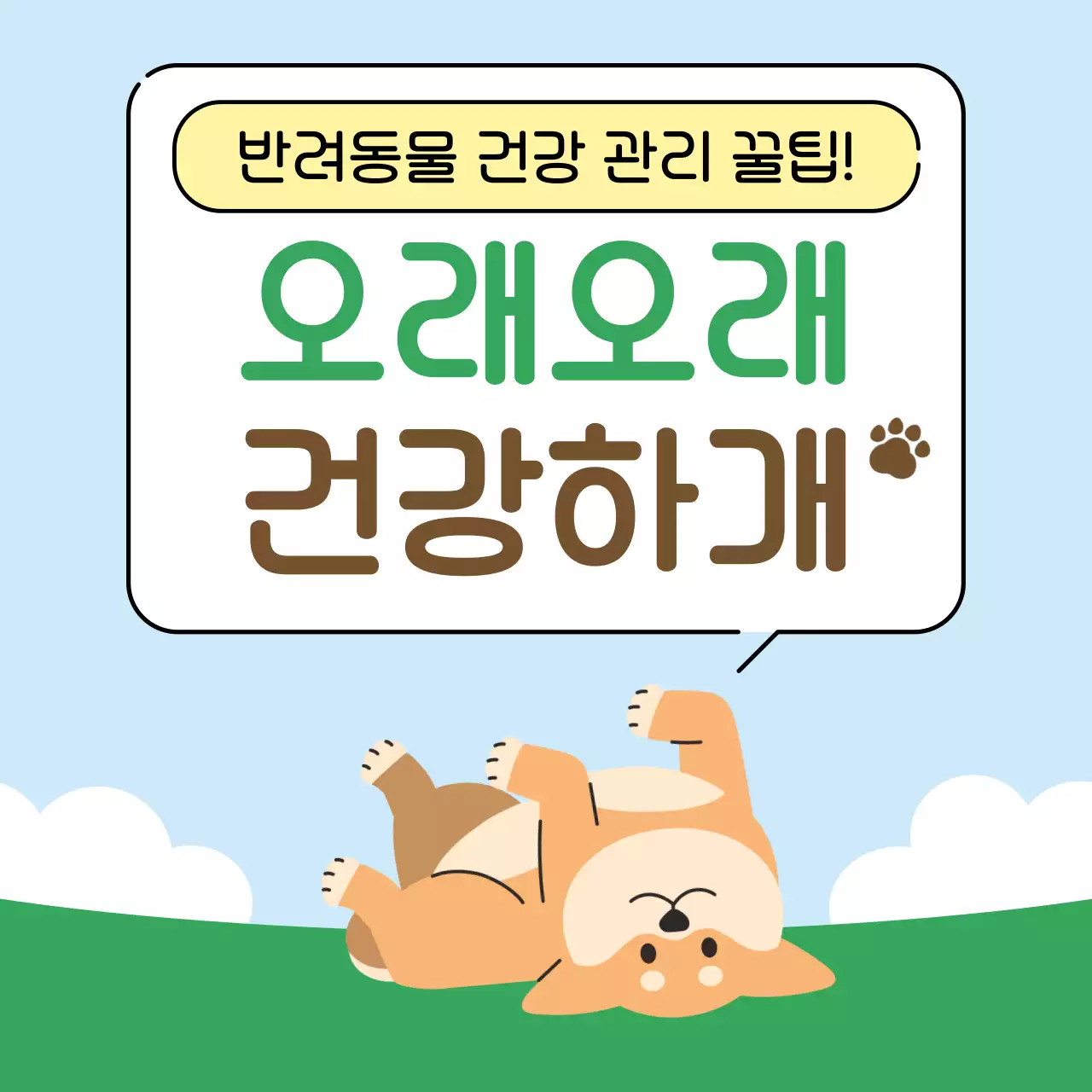 초록색과 하늘색의 아기자기한 반려동물 건강관리꿀팁 교육자료