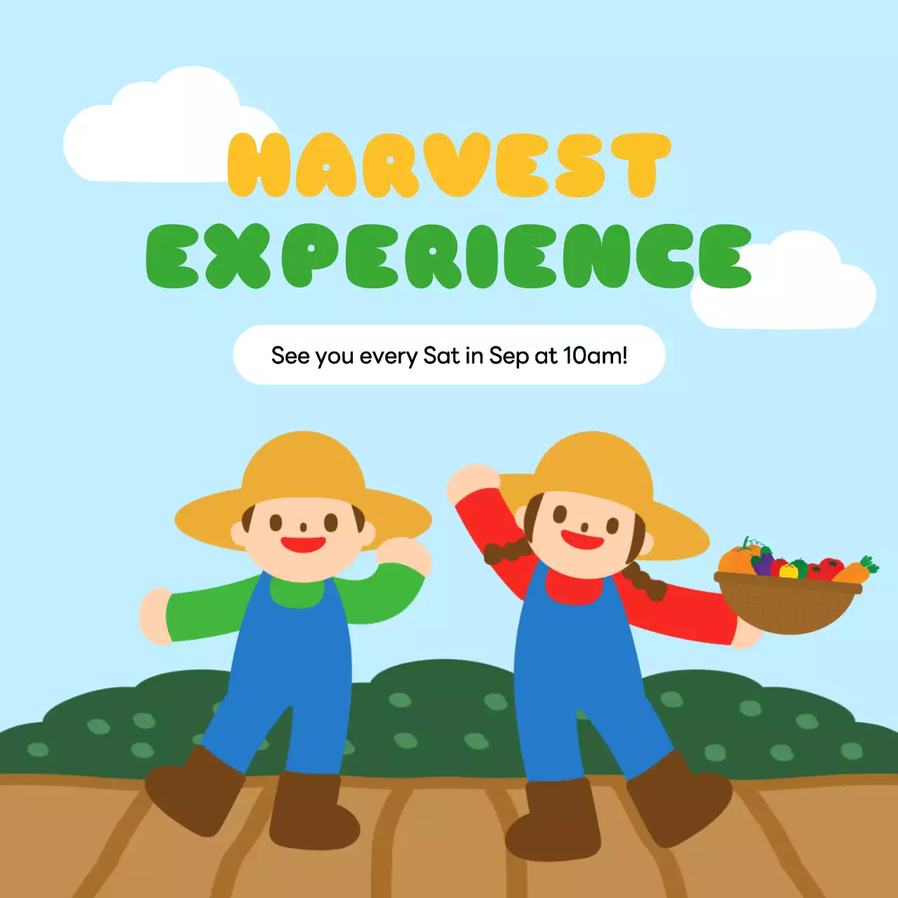 About the beautiful fall harvest of blues and yellows