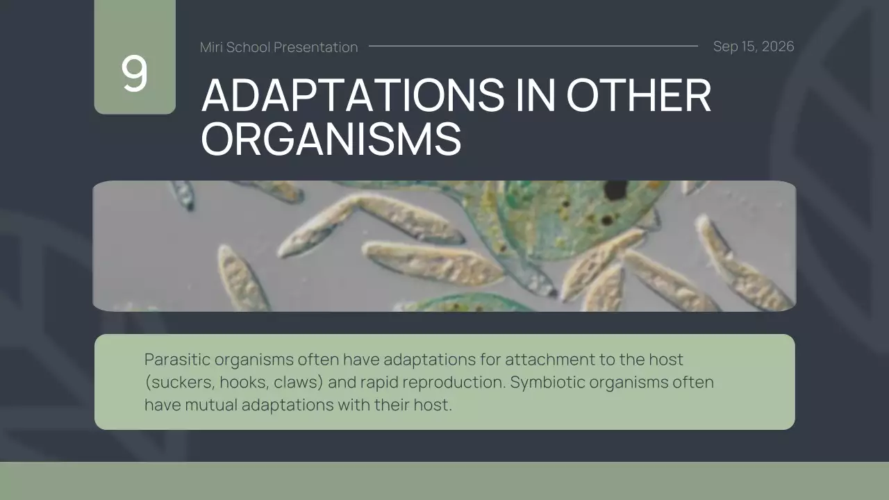 Green Simple Animal Presentation