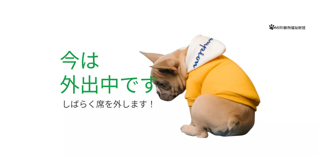 緑色のポイントカラーに子犬の写真とかわいいメッセージの入ったカレンダー