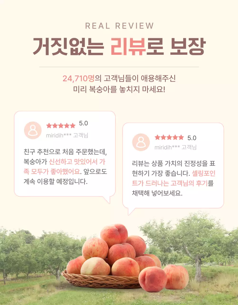 노랑과 핑크색의 깔끔한 상큼한 복숭아 리뷰와 이벤트 홍보
