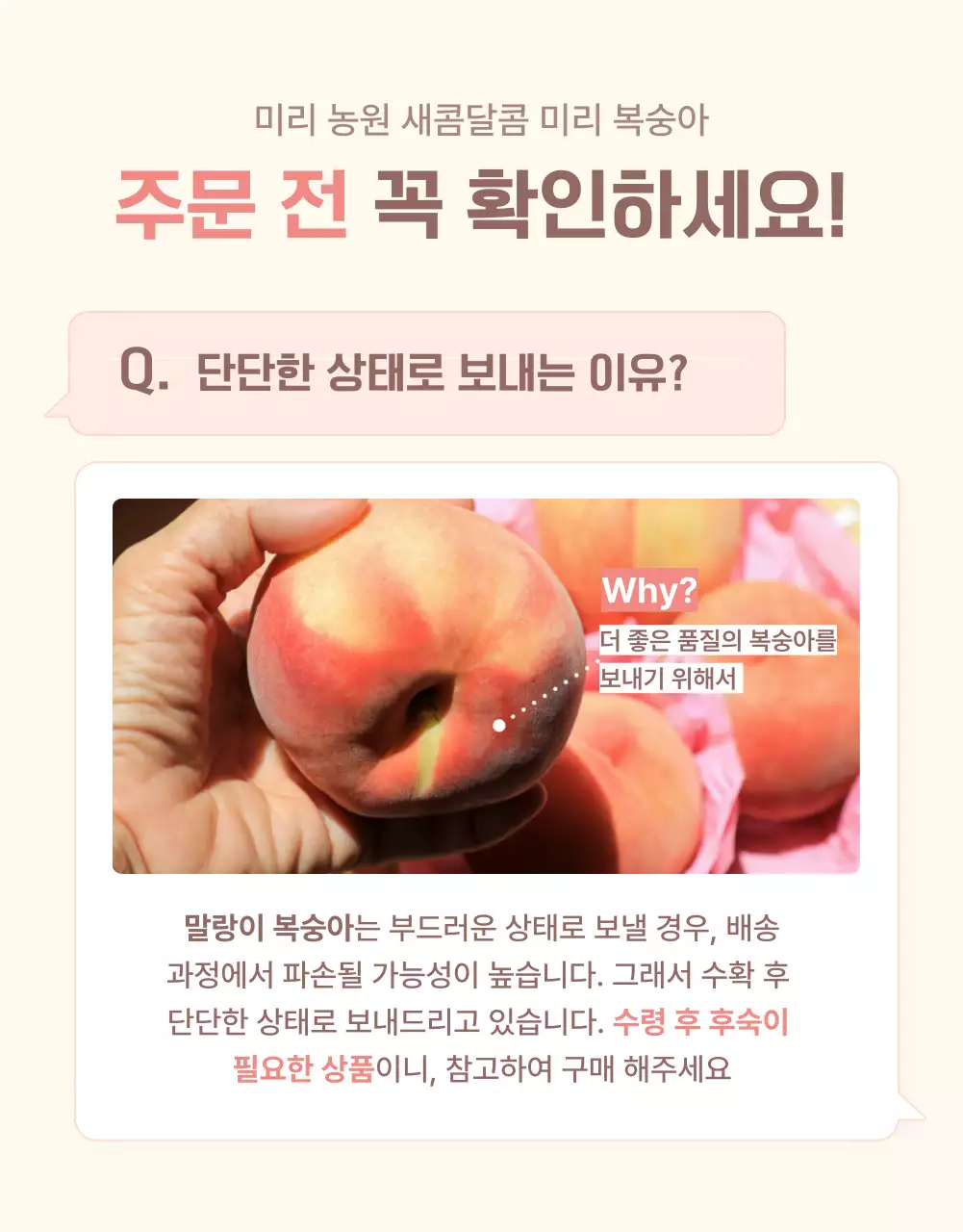 노랑과 핑크색의 깔끔한 상큼한 복숭아 안내 및 주의사항 홍보