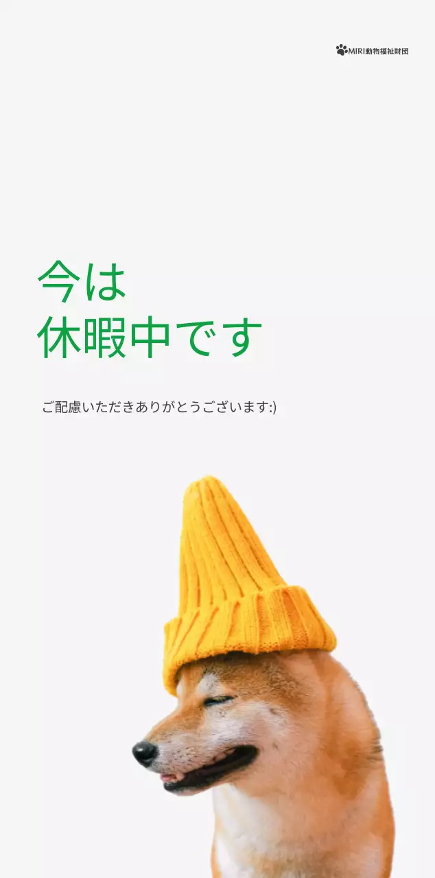 緑色のポイントカラーに子犬の写真とかわいいメッセージの入ったカレンダー