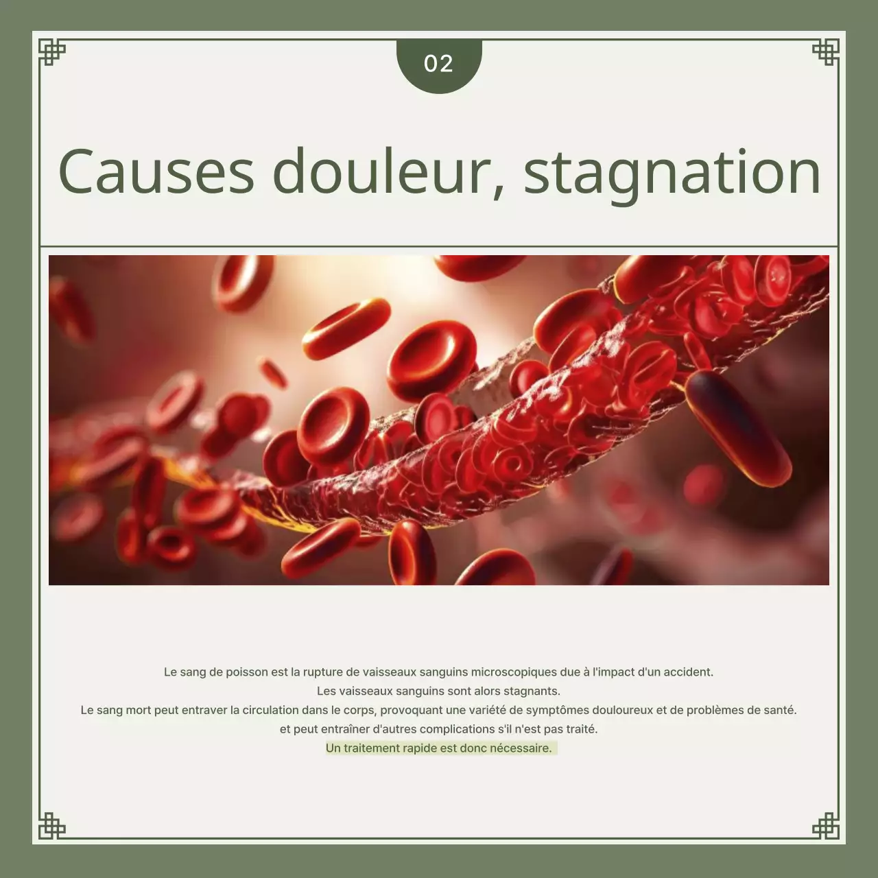 Guide de solutions à base de plantes pour les accidents de voiture kaki et vert lime