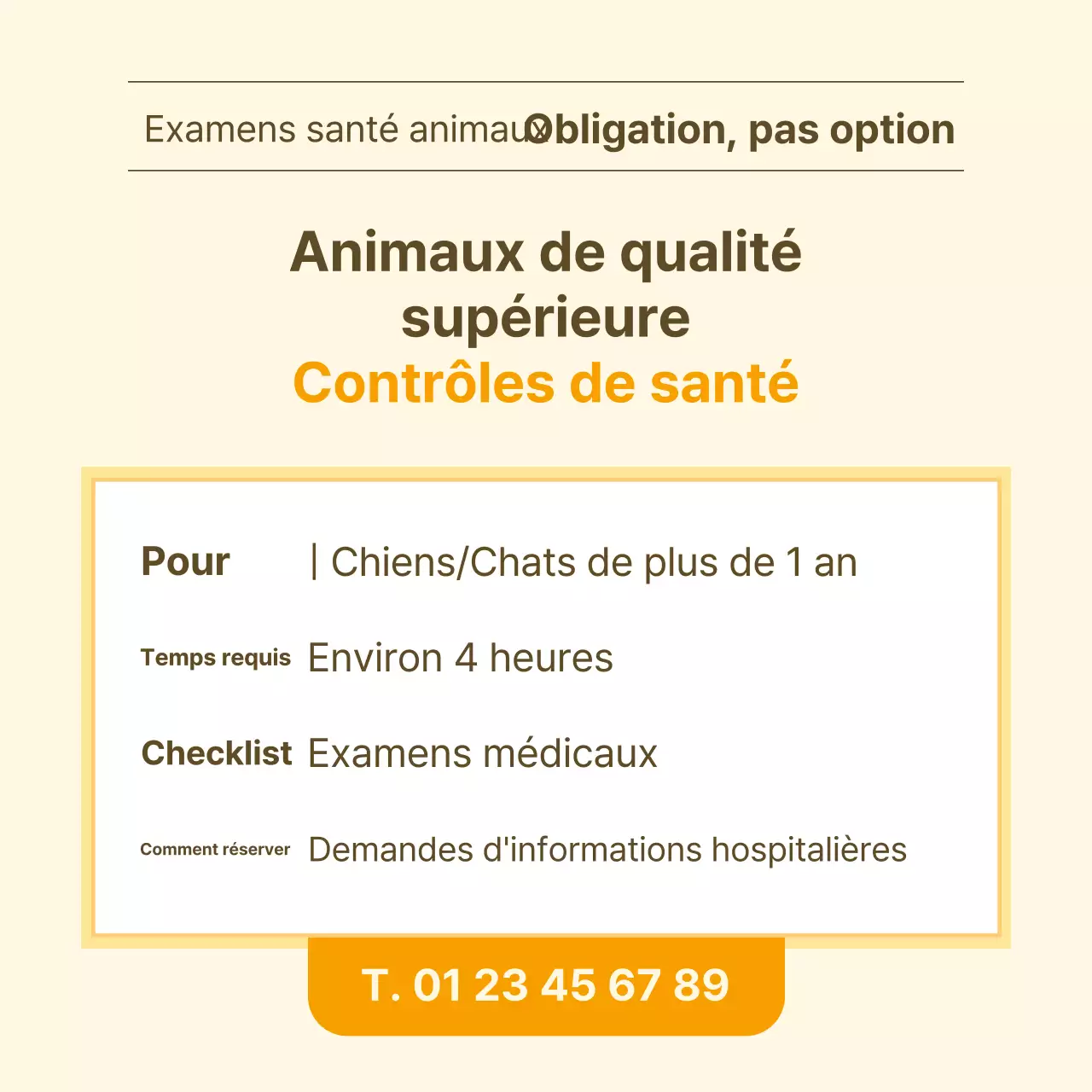 Informations sur les soins de santé des animaux de compagnie sous forme de notes jaunes et blanches