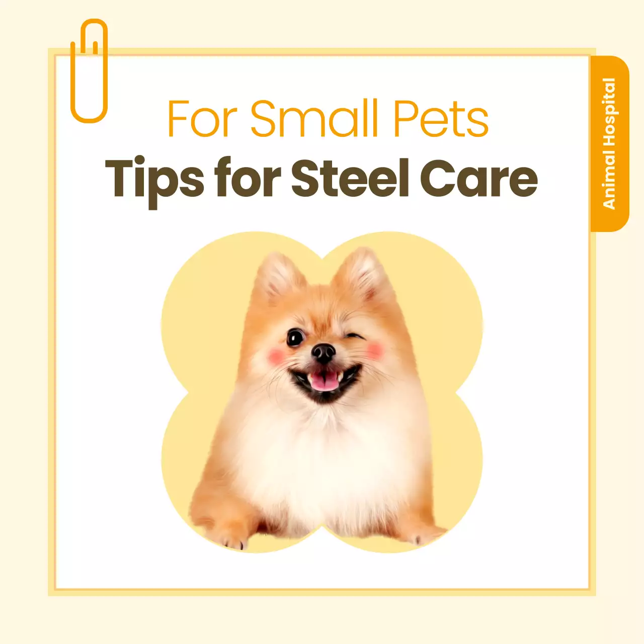 Beige Modern Pet Guide Instagram Carousel