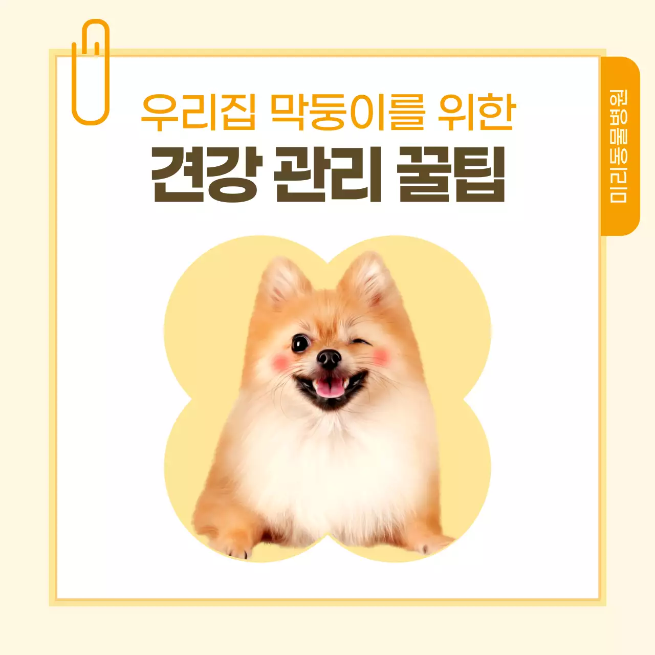 노랑과 흰색의 노트 스타일 반려동물 건강관리 정보