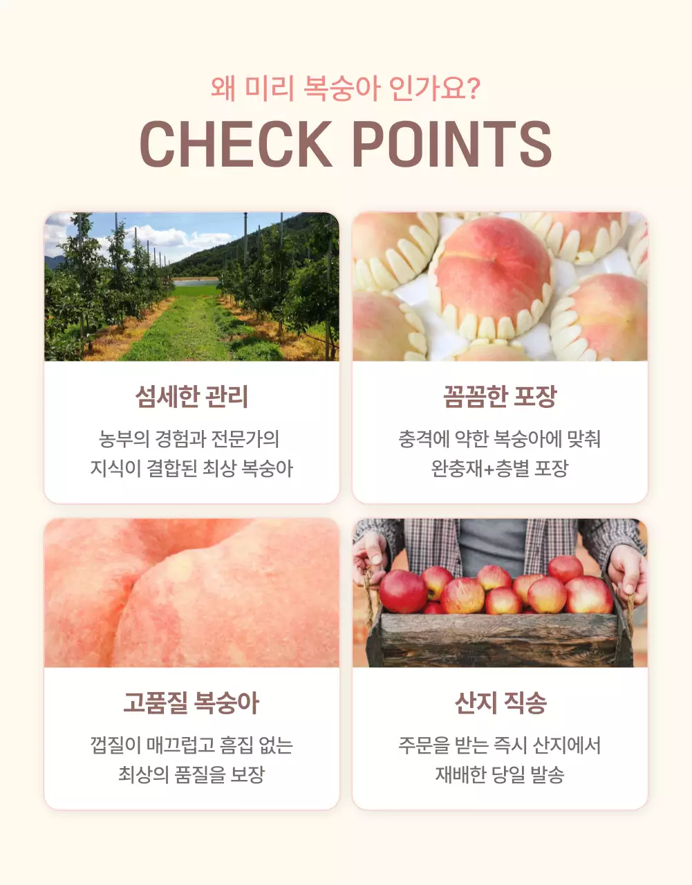 노랑과 핑크색의 깔끔한 상큼한 복숭아 판매 홍보