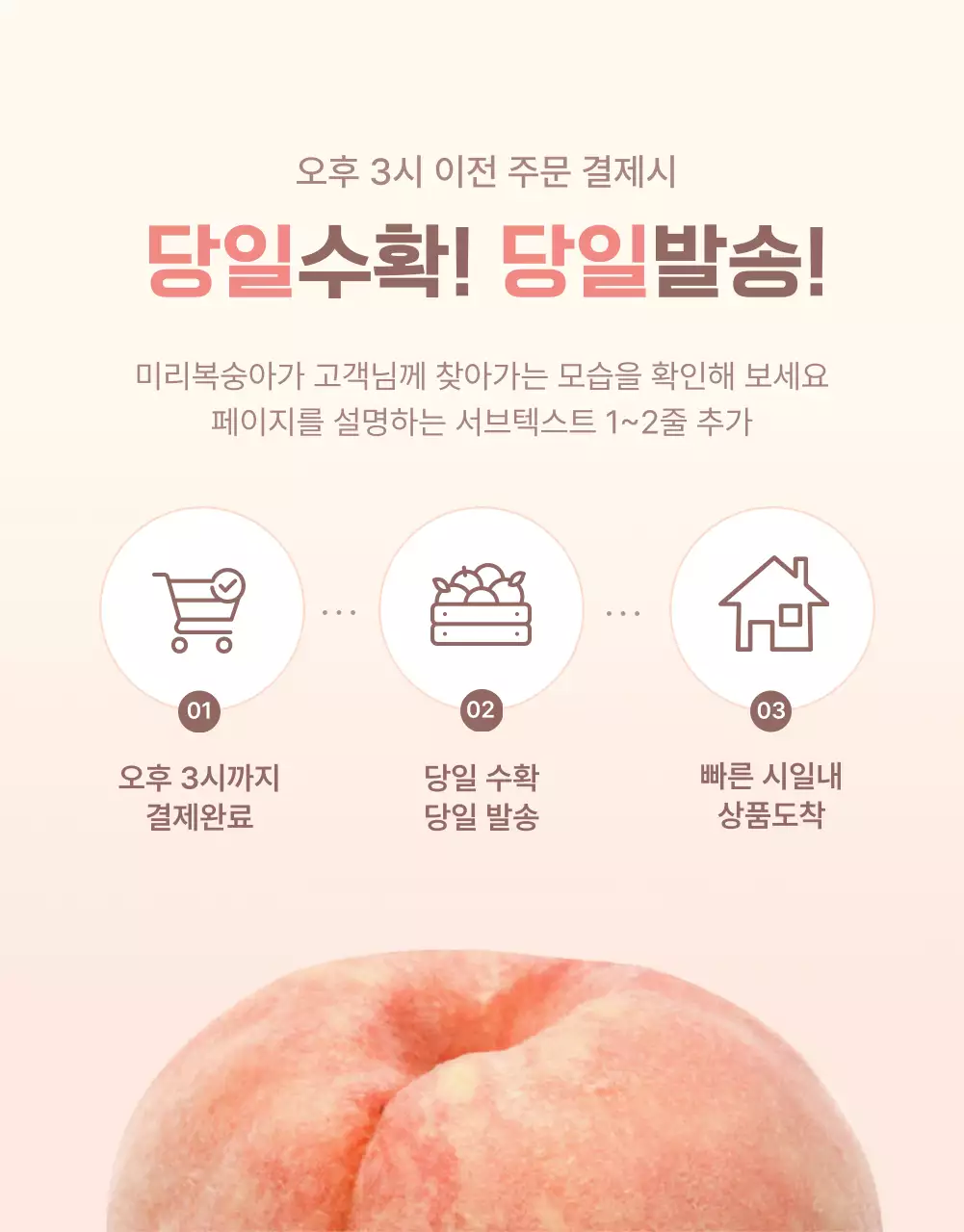 노랑과 핑크색의 깔끔한 상큼한 복숭아 판매 홍보
