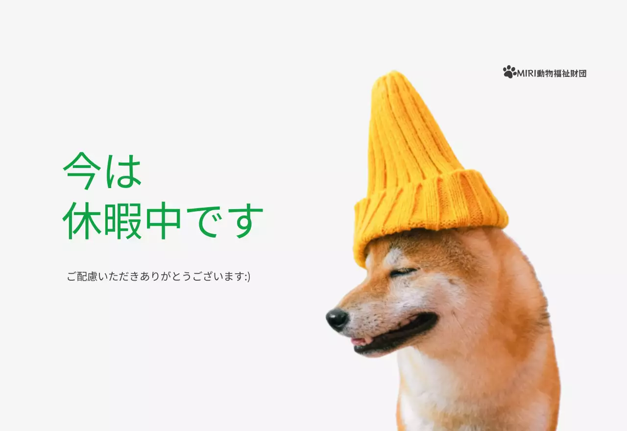 緑色のポイントカラーに子犬の写真とかわいいメッセージの入ったカレンダー