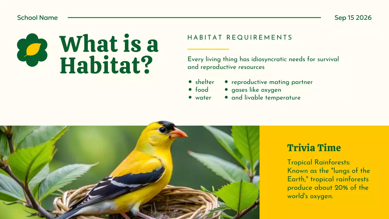 Yellow Educational Animal Guide Presentation