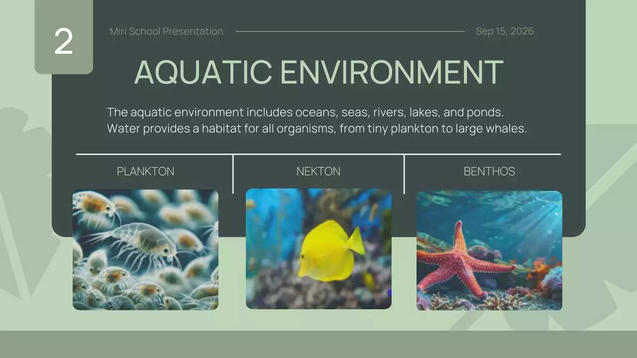 Green Simple Animal Presentation