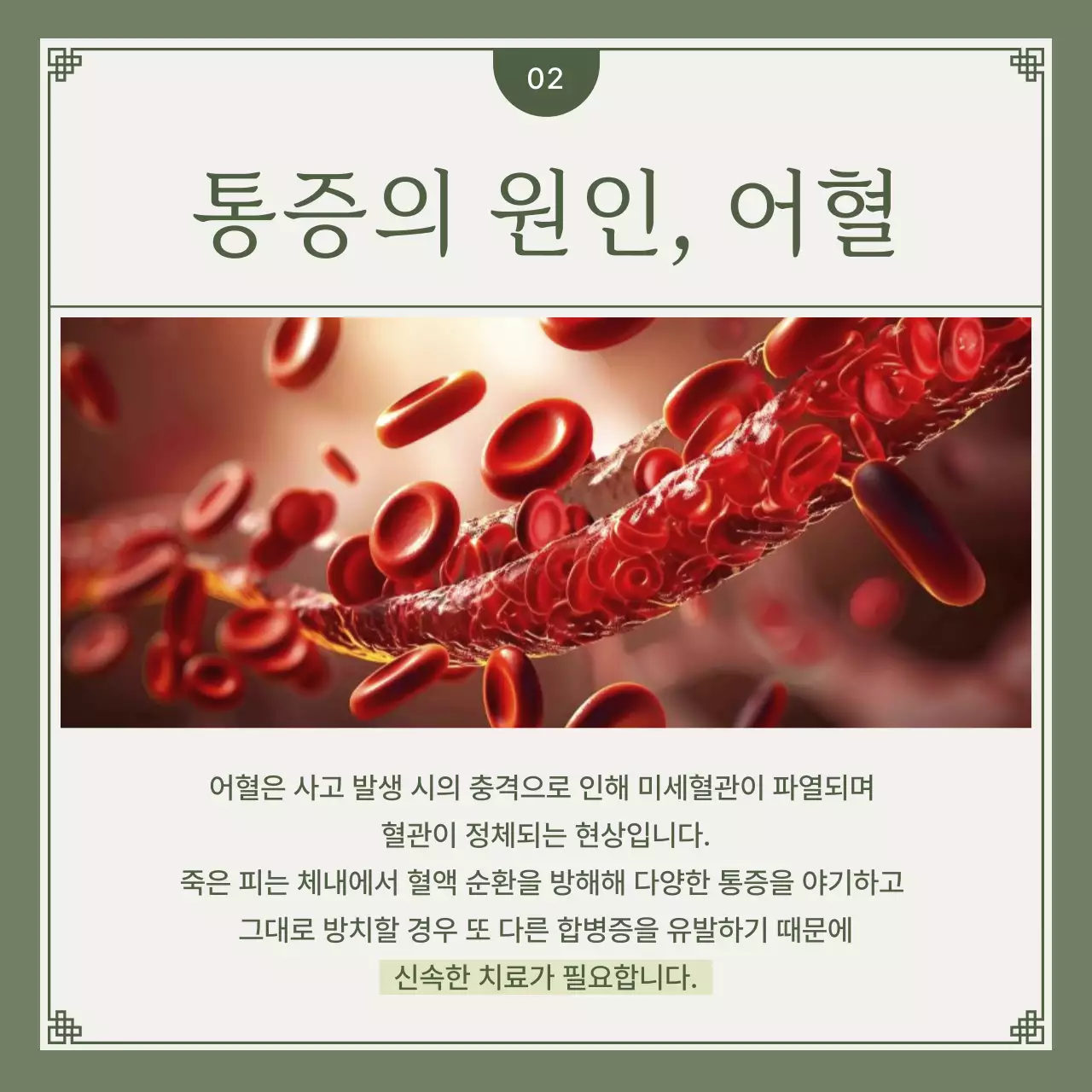 카키와 연두색의 미니멀한 교통사고 한방솔루션 안내서