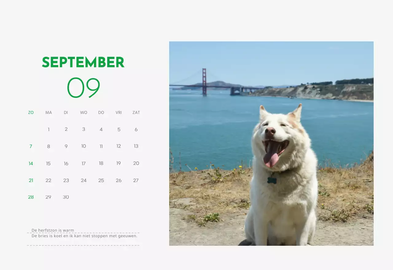 Een kalender met een puppyfoto en een schattige boodschap in groene accentkleur