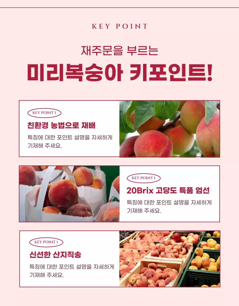 핑크색의 모던한 복숭아 홍보