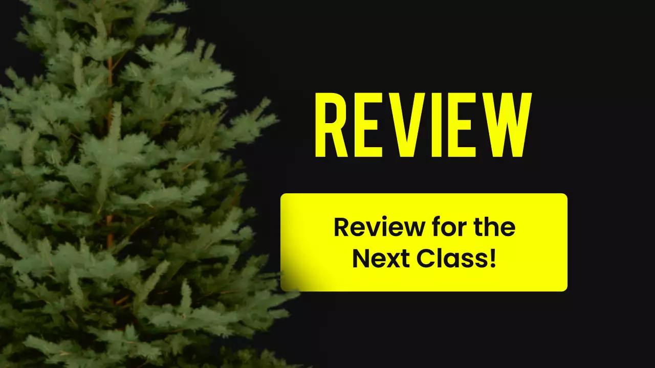 Yellow Modern Animal Lecture Presentation