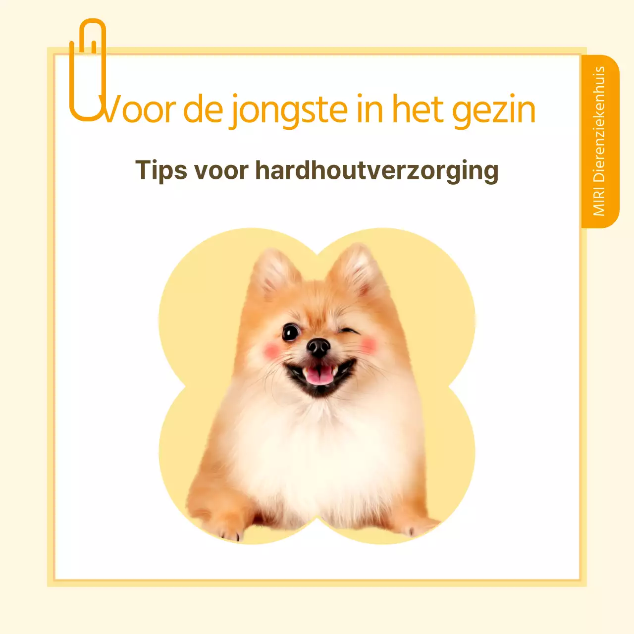 Informatie over gezondheidszorg voor huisdieren in gele en witte notitiestijl