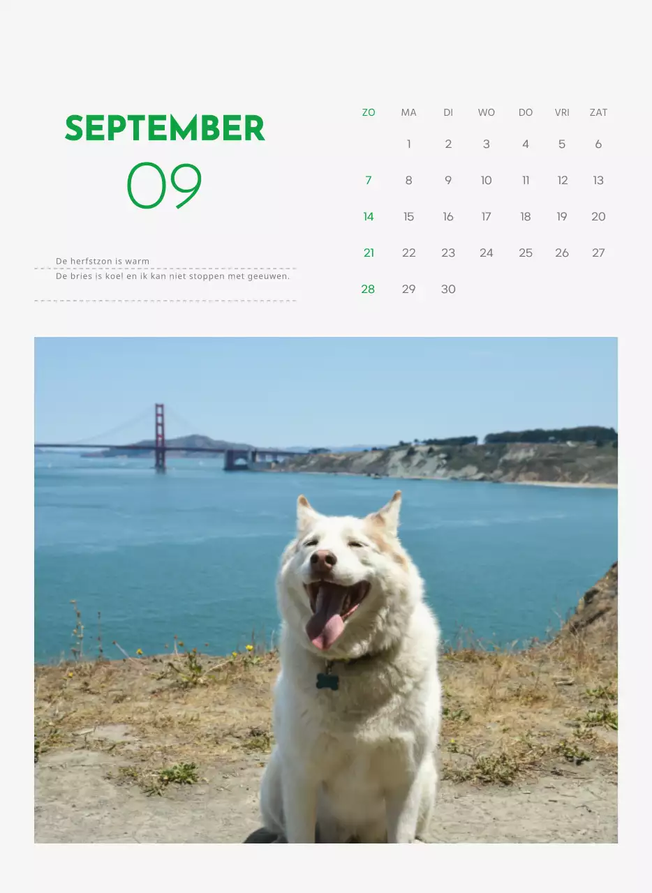 Een kalender met een puppyfoto en een schattige boodschap in groene accentkleur
