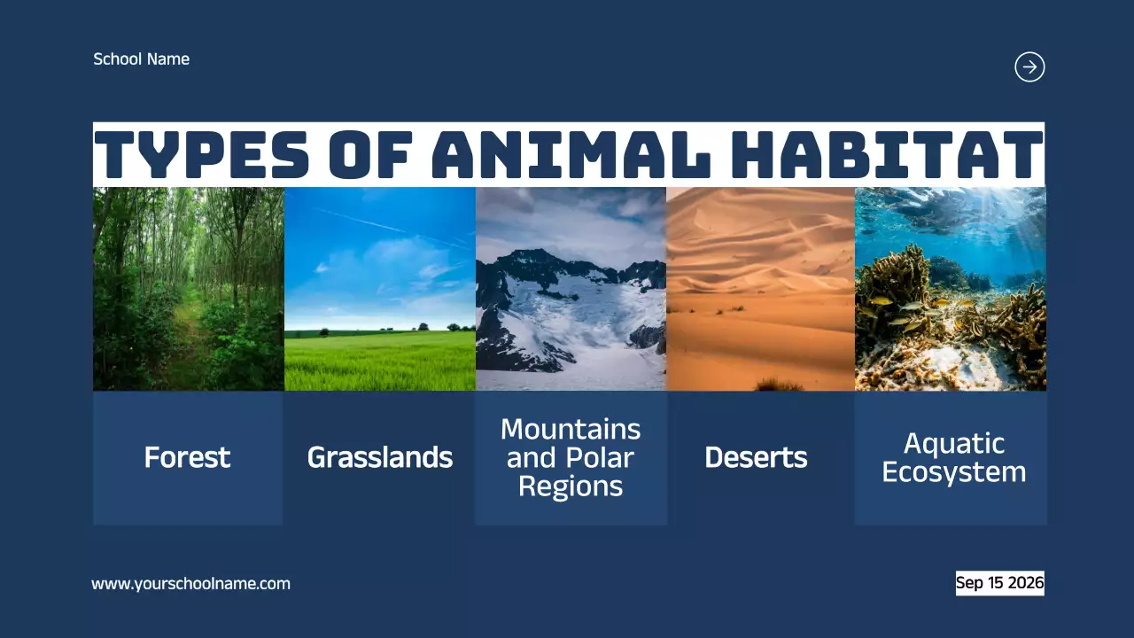 Blue Modern Animal Guide Presentation