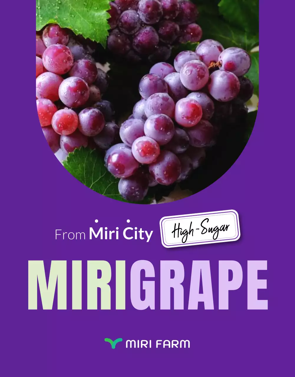 Purple Trendy Grapes Promotion Poster