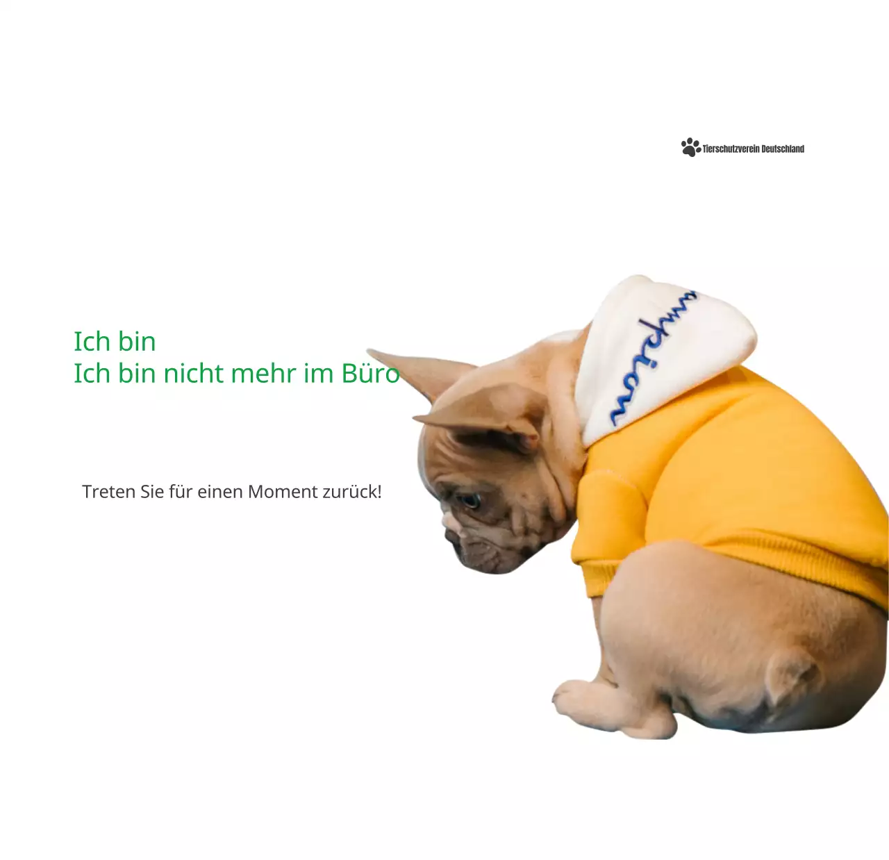 Ein Kalender mit einem Welpenfoto und einer süßen Botschaft in grüner Akzentfarbe