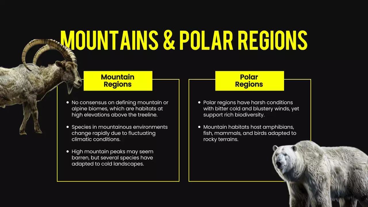 Yellow Modern Animal Lecture Presentation