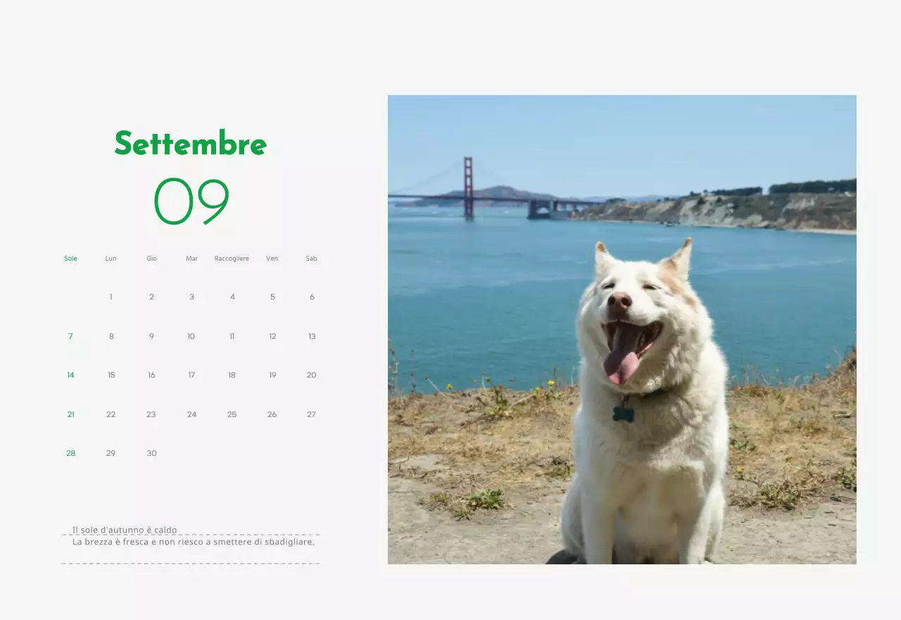 Un calendario con la foto di un cucciolo e un simpatico messaggio in colore verde.