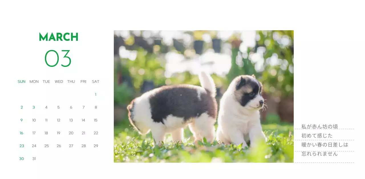緑色のポイントカラーに子犬の写真とかわいいメッセージの入ったカレンダー