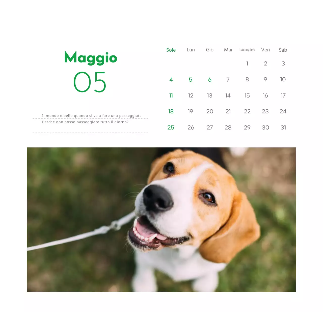 Un calendario con la foto di un cucciolo e un simpatico messaggio in colore verde.
