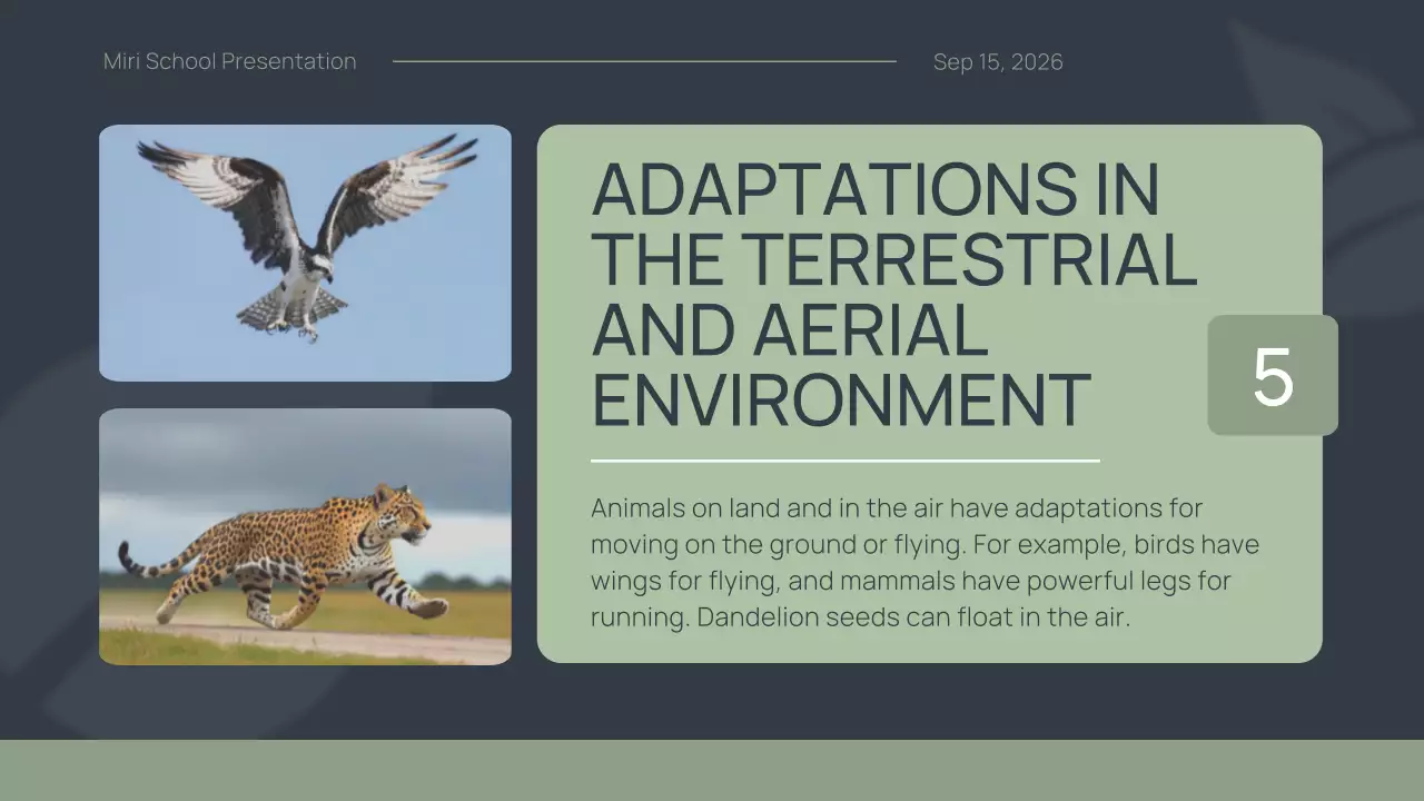 Green Simple Animal Presentation