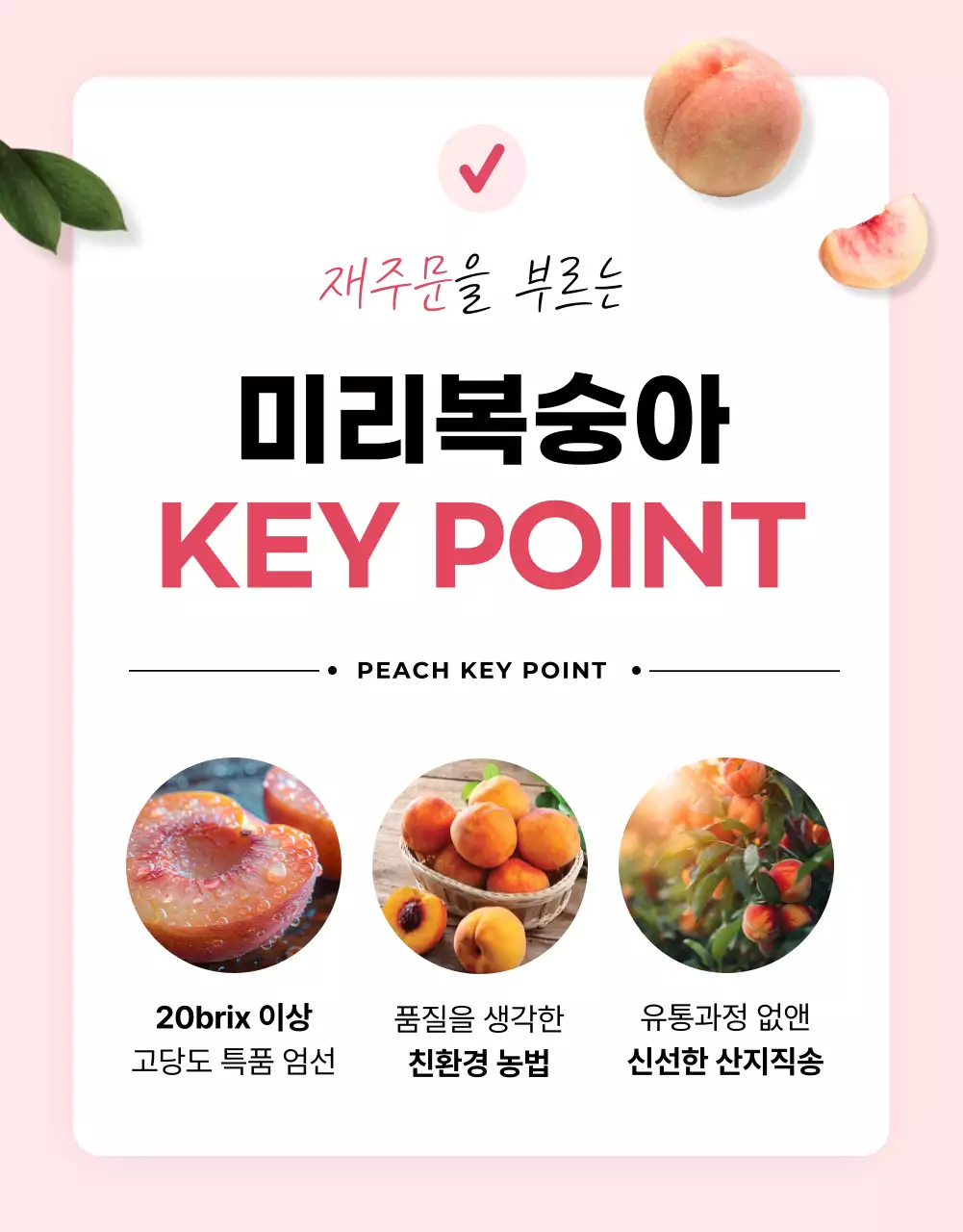 핑크의 기본적인 제철 과일 광고