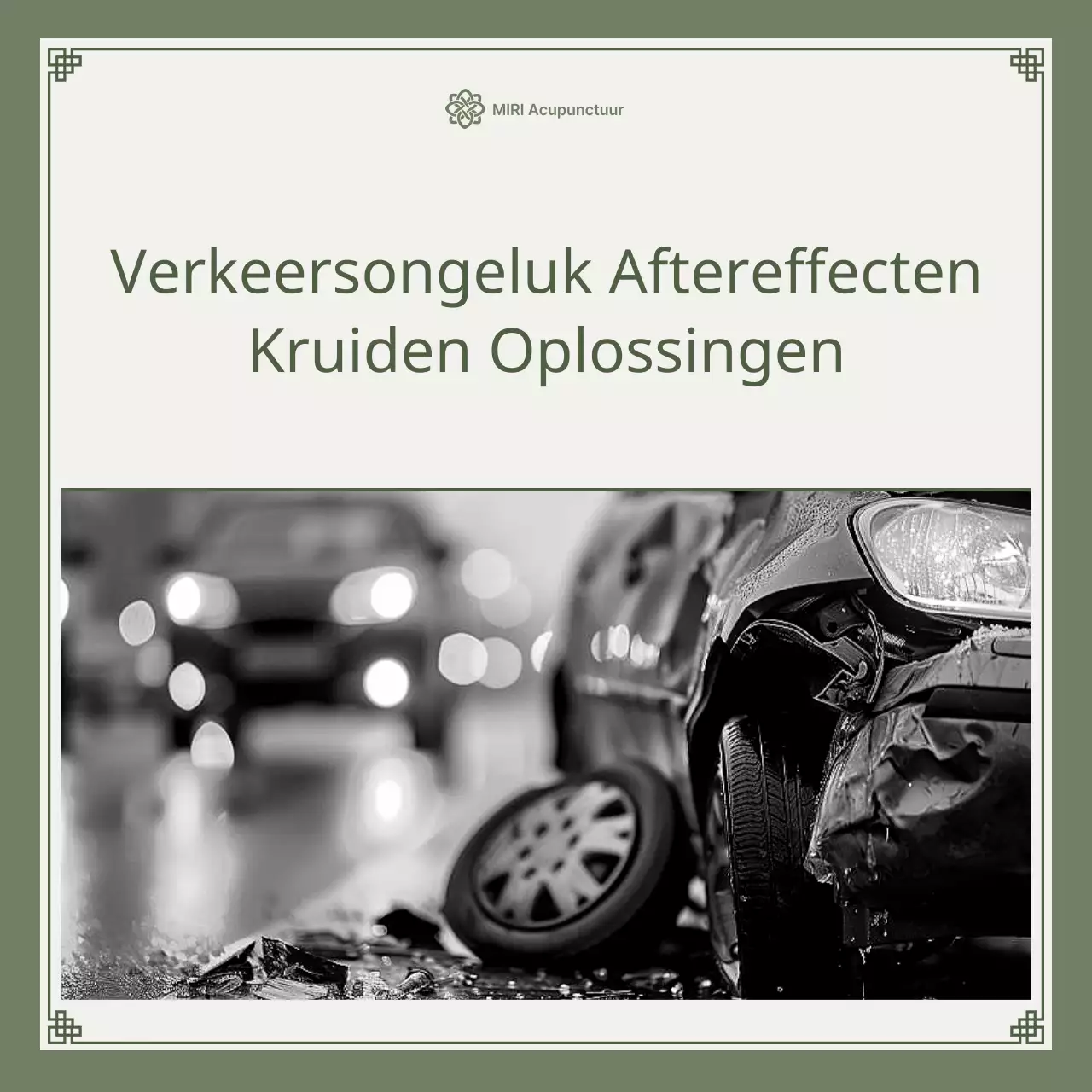 Kaki en limoengroene minimalistische kruidengids voor auto-ongelukken