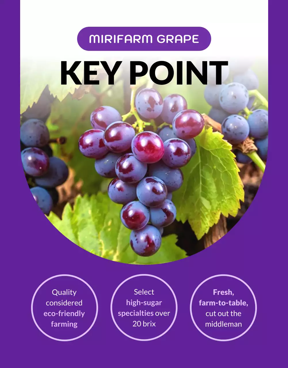 Purple Trendy Grapes Promotion Poster