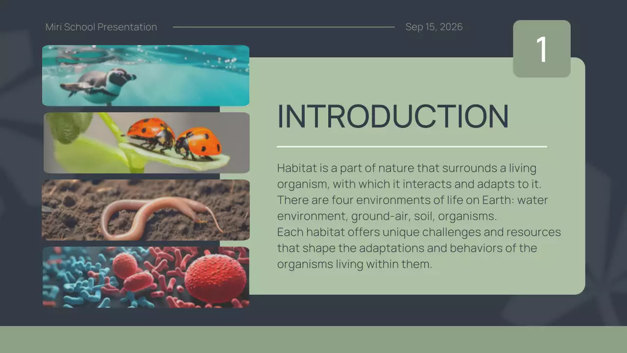 Green Simple Animal Presentation