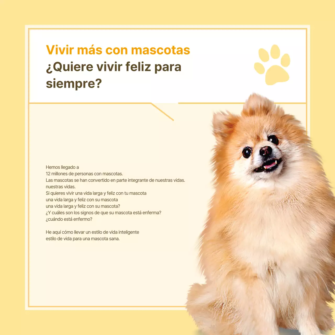 Información sanitaria para mascotas en blanco y amarillo